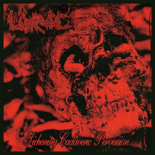 LARVAE ? Sickening Cadaveric Perversion (7 EP)